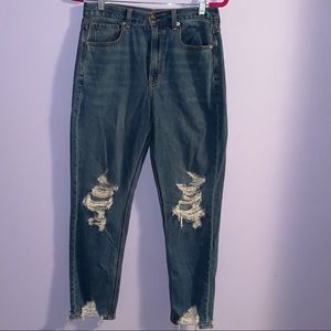 American Eagle Mom Jeans